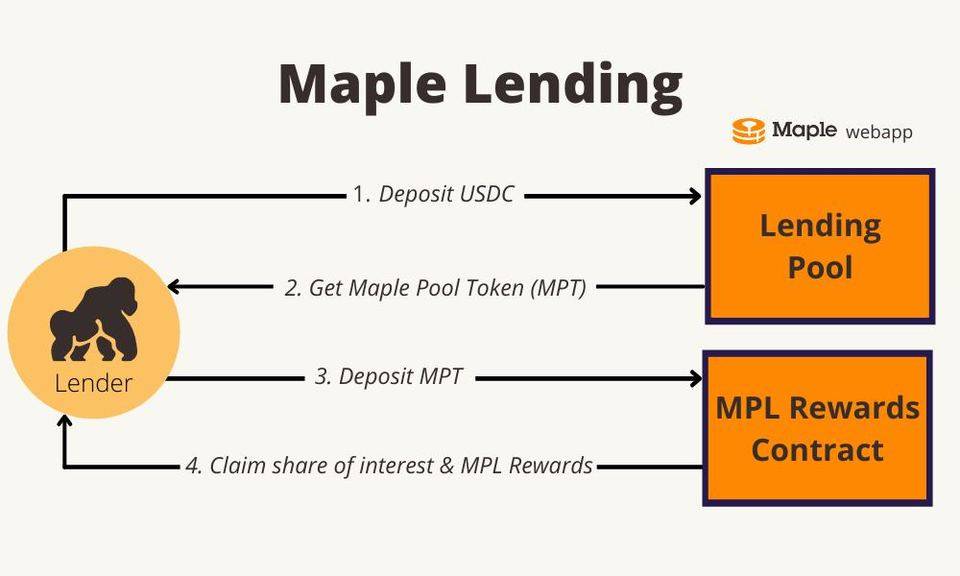 DeFi 之道丨 DeFi 借贷的下一个蓝海市场？了解一下信贷项目 Maple Finance