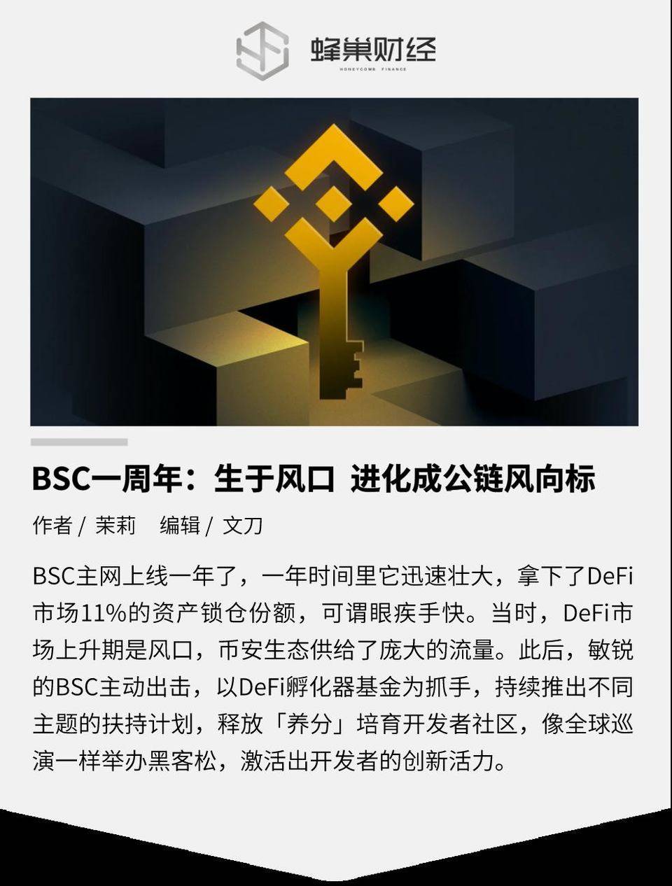 BSC 一周年：生于风口  进化成公链风向标