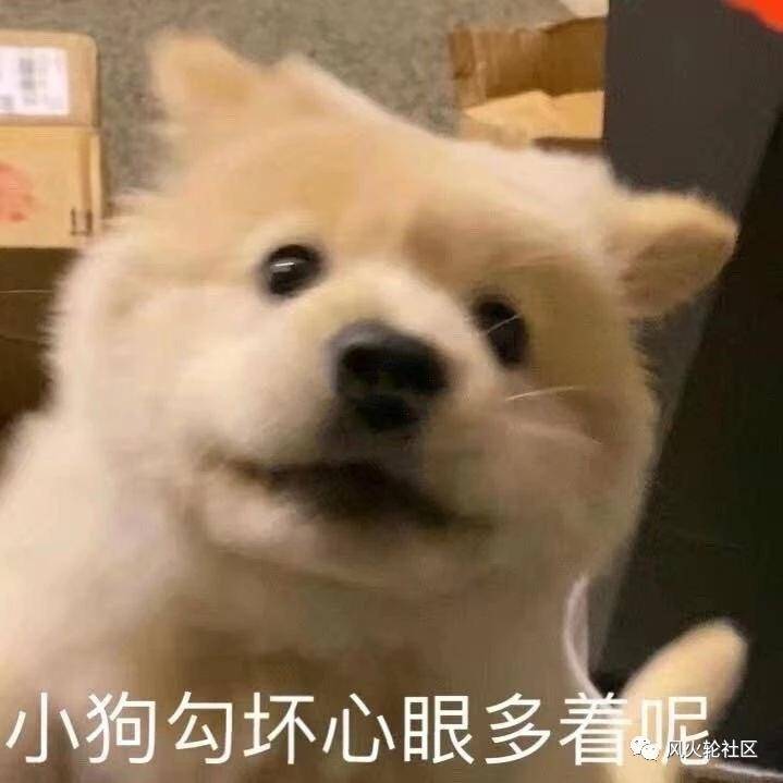 ada 一月四倍挺进前三，为何如此强势？