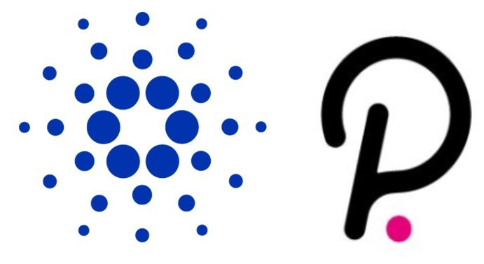 Cardano vs. Polkadot - Education - Cardano Forum