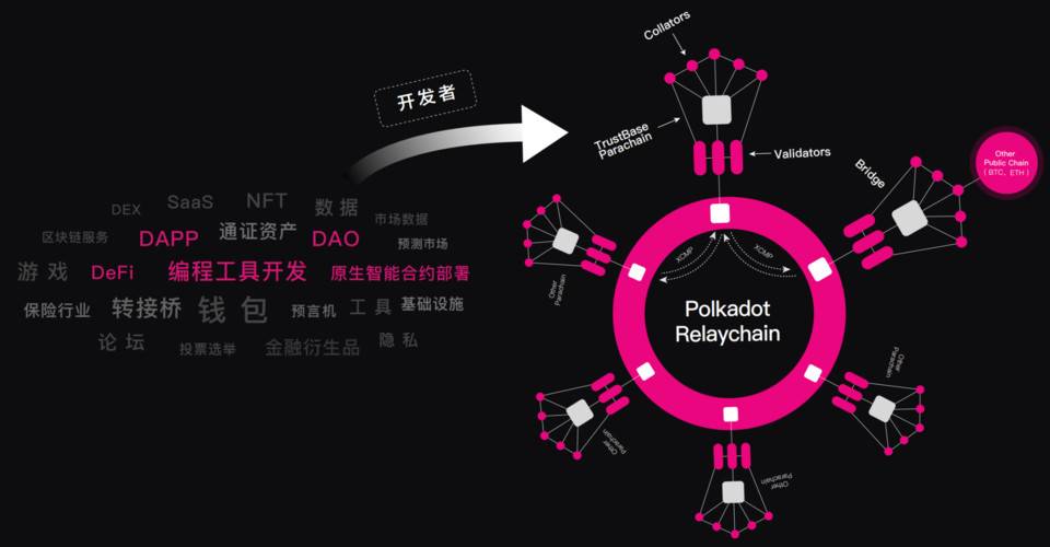 五分钟了解 TrustBase：波卡生态开发者的引渡人