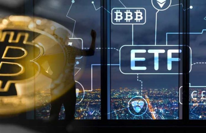 Cboes-Bitcoin-ETF-Will-Not-Be-Approved-by-SEC-According-to-Digital-Asset-Investment-Firm-696x449