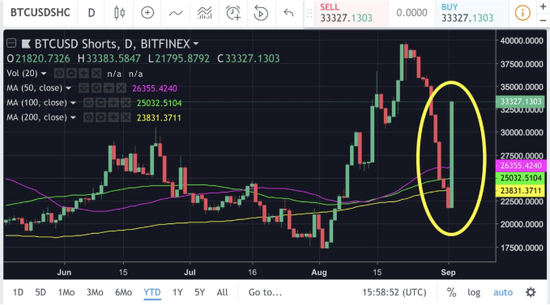 （Bitfinex交易所BTCUSD空单数量，图片来自网络）