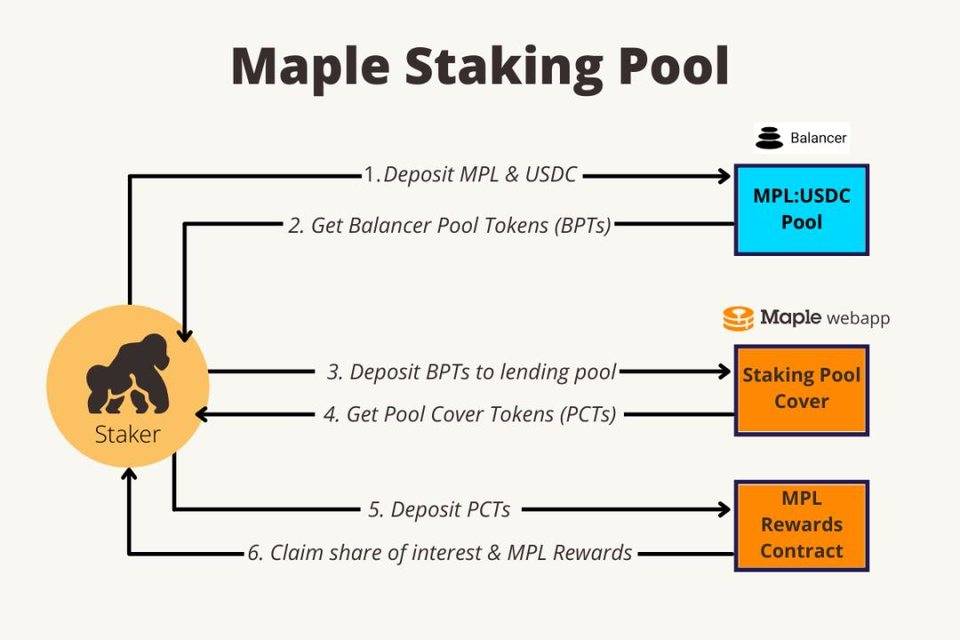 DeFi 之道丨 DeFi 借贷的下一个蓝海市场？了解一下信贷项目 Maple Finance