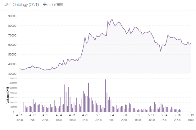 ONT项目风险评估报道