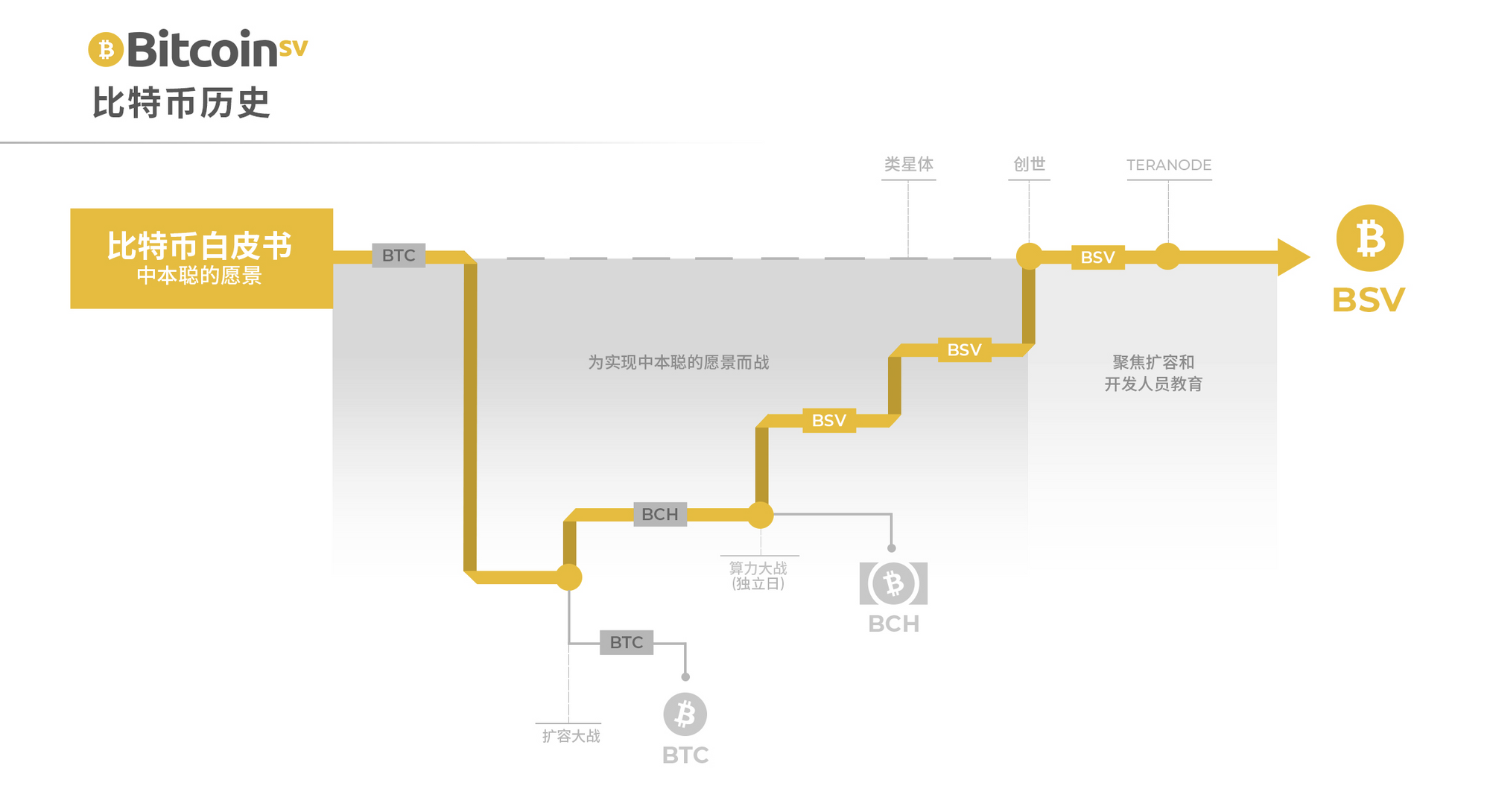 币百科：比特币SV（BSV）项目入门介绍