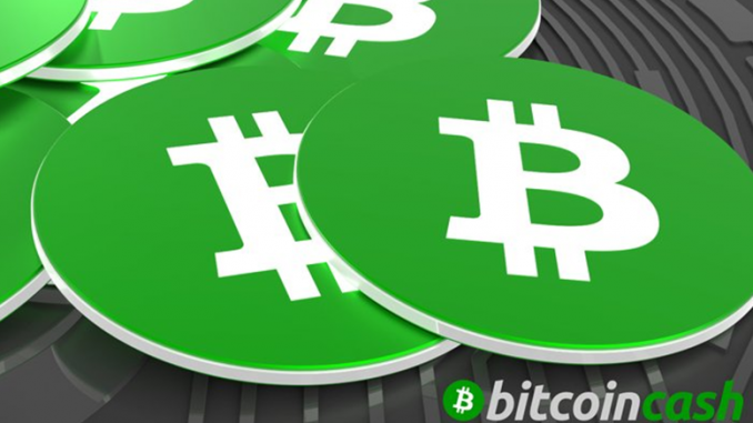 Is-Bitcoin-Cash-678x381