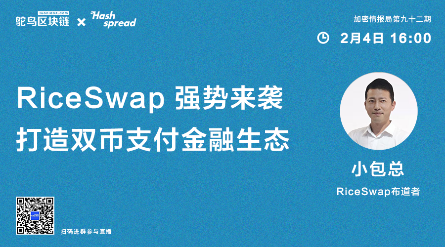 RiceSwap强势来袭，打造双币支付金融生态