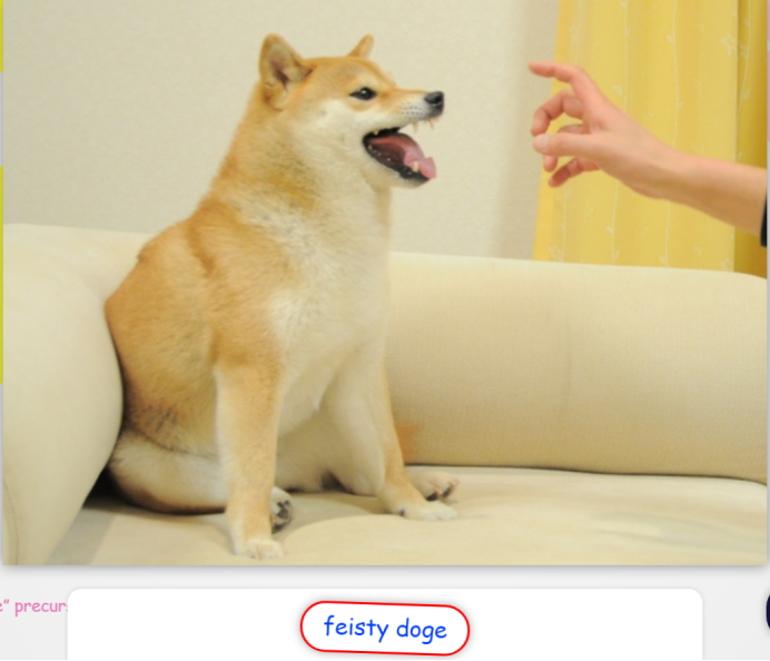 （图片来源：https://very.auction/doge/feisty-doge）