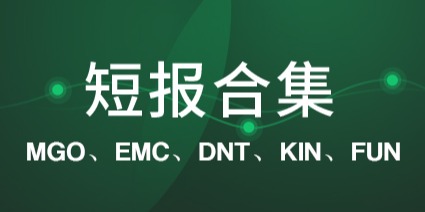标准共识：欲改写游戏行业，MGO 却未开源