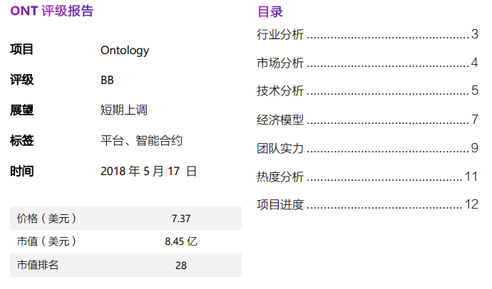 ONT项目风险评估报道