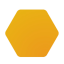 NIM Logo