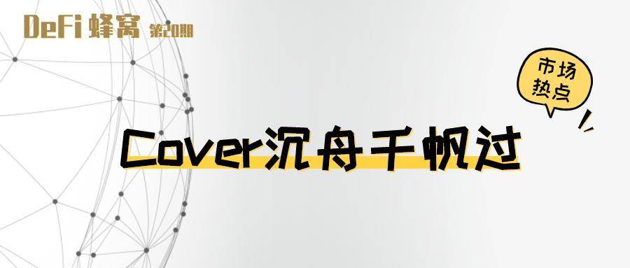 DeFi 保险解读上篇：Cover 沉舟千帆过