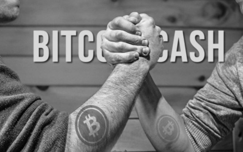 什么是比特现金（BCH）？BCH数字货币介绍