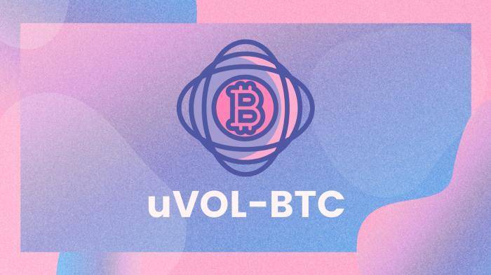 引介 | uVOL 代币：追踪并交易资产波动性