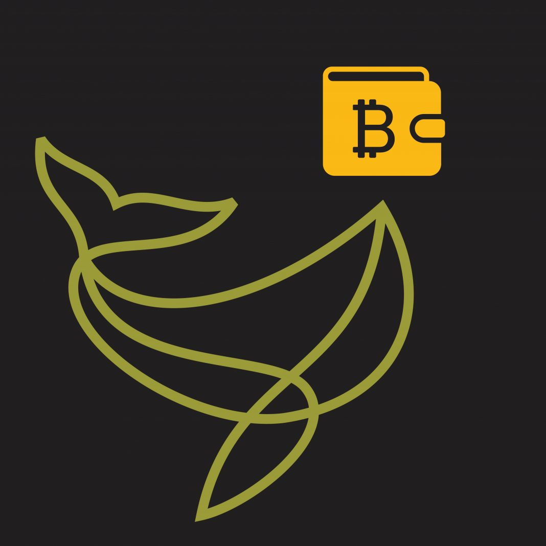 bitcoin-whale-1068x1068