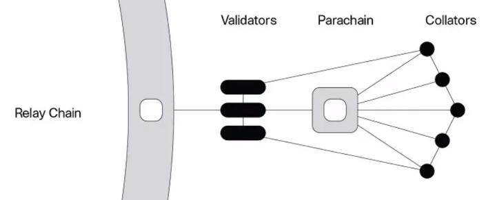 多维度比较 Polkadot 与 Cardano：谁是真正的以太坊杀手？