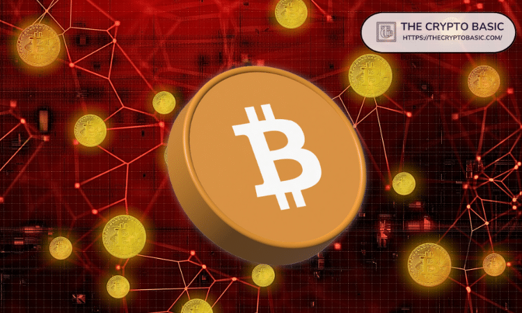 Bitcoin Analysis for Dec 24: BTC Needs to Hold Support, but Analyst Says True Test at $98.5K