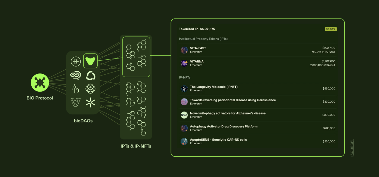 BIO Protocol深度研报：币安倾力支持的去中心化科学（DeSci）平台