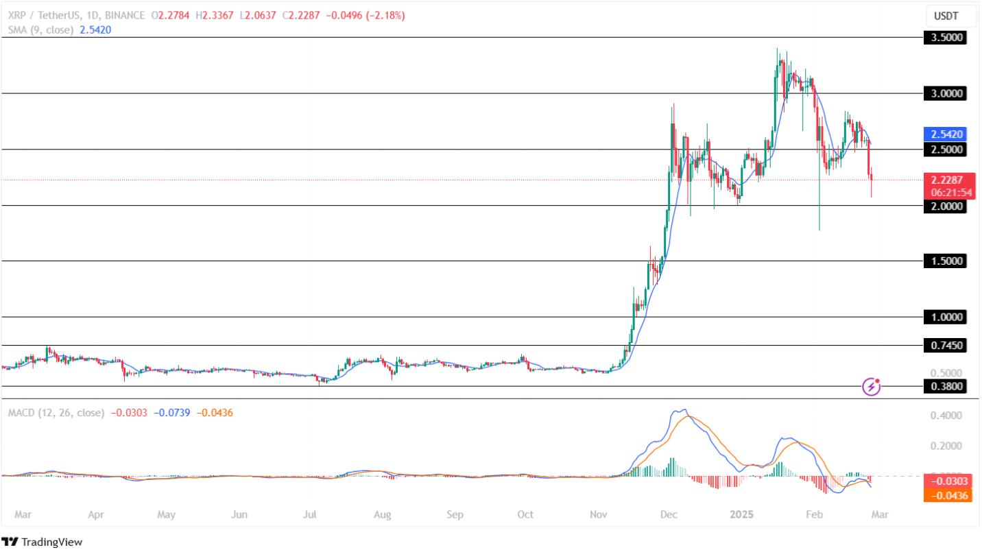 Ripple Price Prediction 25th February 2025