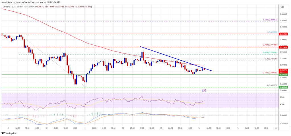 Cardano (ADA) Struggle Persists—Is a Rebound Still Possible?