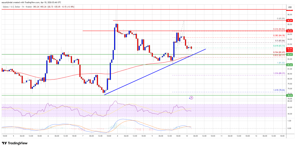 Solana (SOL) Maintains Strength, Gradual Gains Signal Bullish Bias