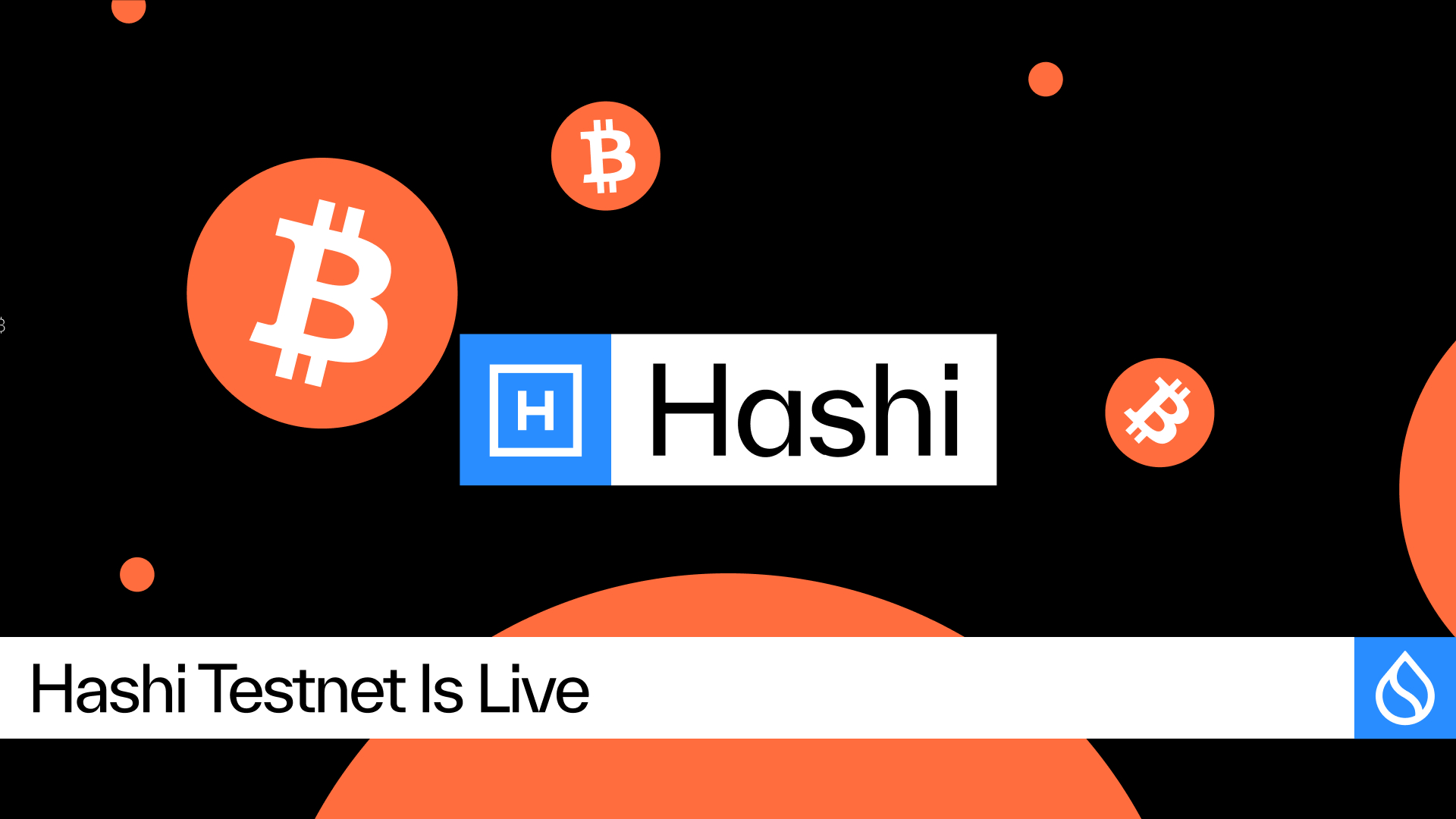 Blog 0609 Hashi 1 1784576641sFpfAYzi0h