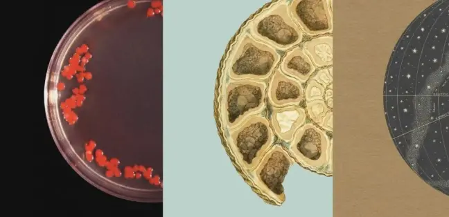看了招股书，我终于知道为什么 Anthropic 不在乎用户了