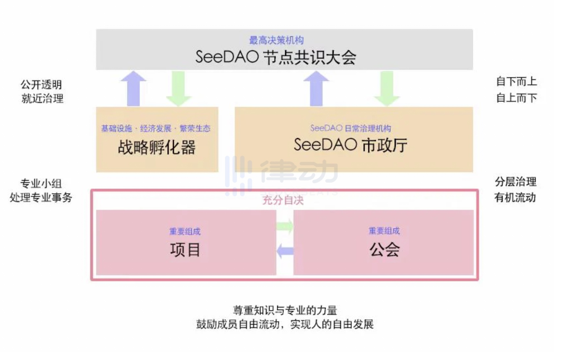 SeeDAO万字专访：11个月4次低谷，如何从停滞中重生？