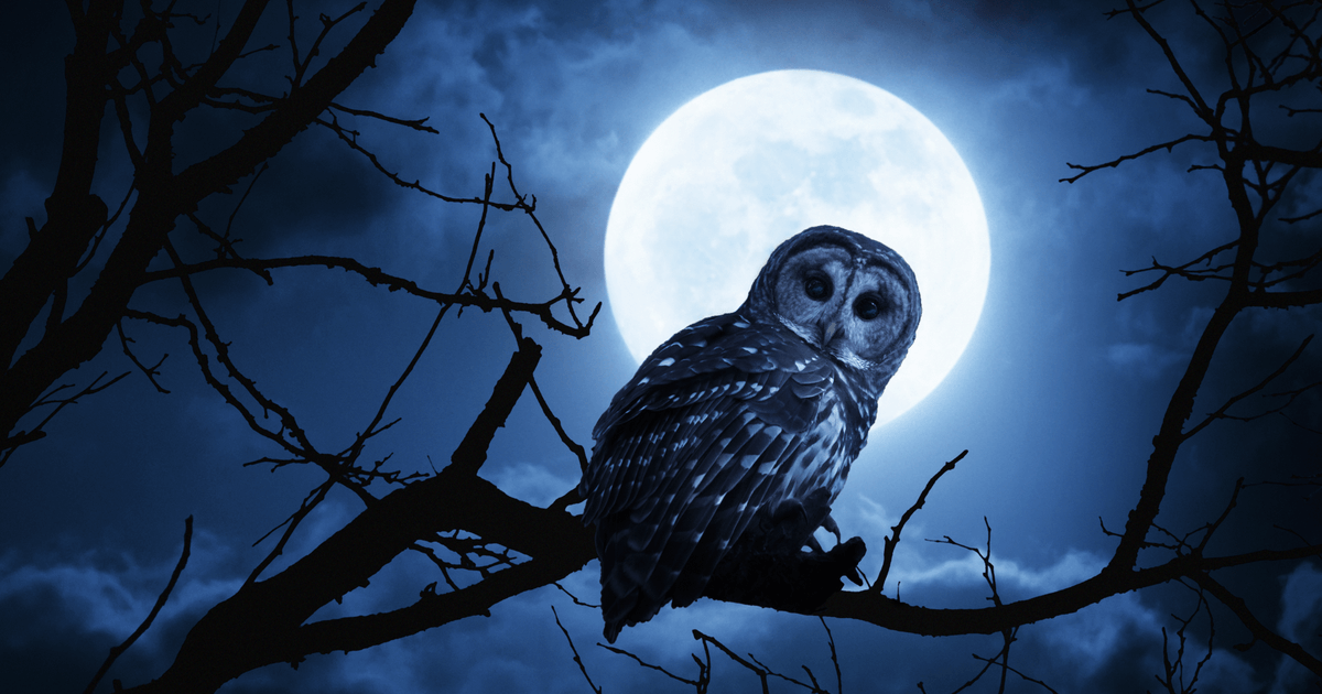 「ビットコイン・アフターダークETF」申請　夜間取引時間の高パフォーマンスに着目