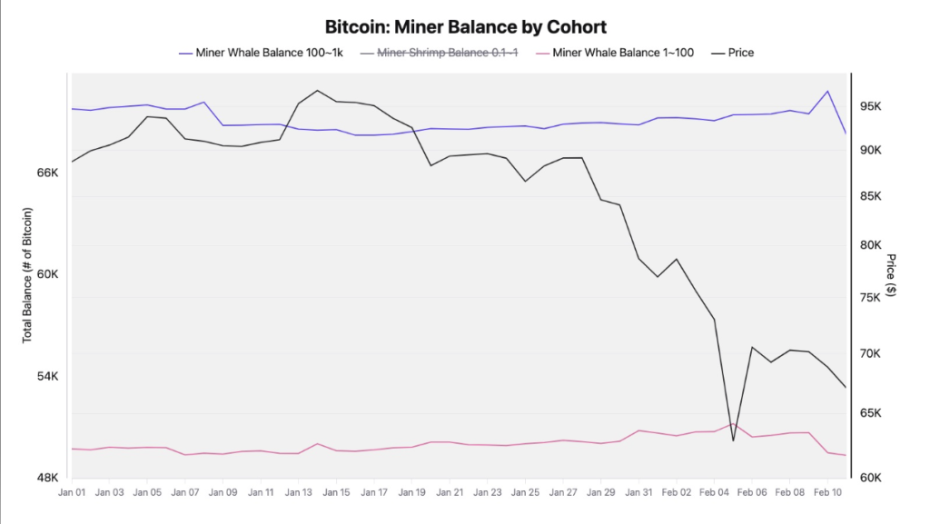 Bitcoin Price Bottom Not In Yet? Data Signals More Pain Ahead
