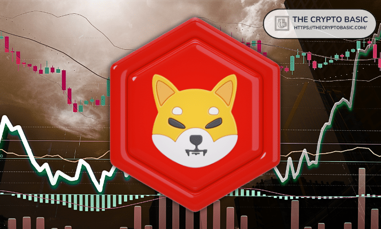 Shiba Inu: Analyst Says Some Huge Winners Will Come from Current Oversold Levels