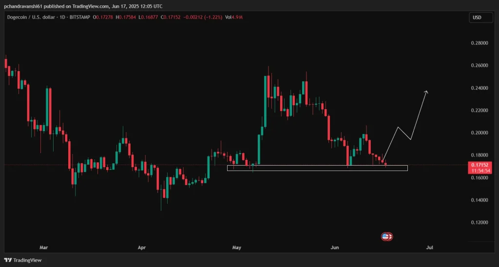 doge-trading-view