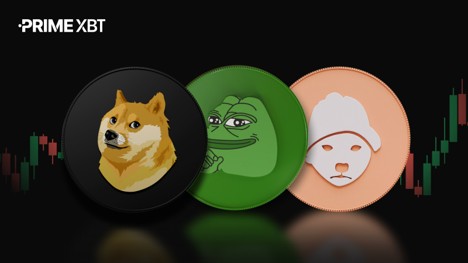 PrimeXBT Insights: Memecoins Are Back in Focus: What Is Driving the Volatility?