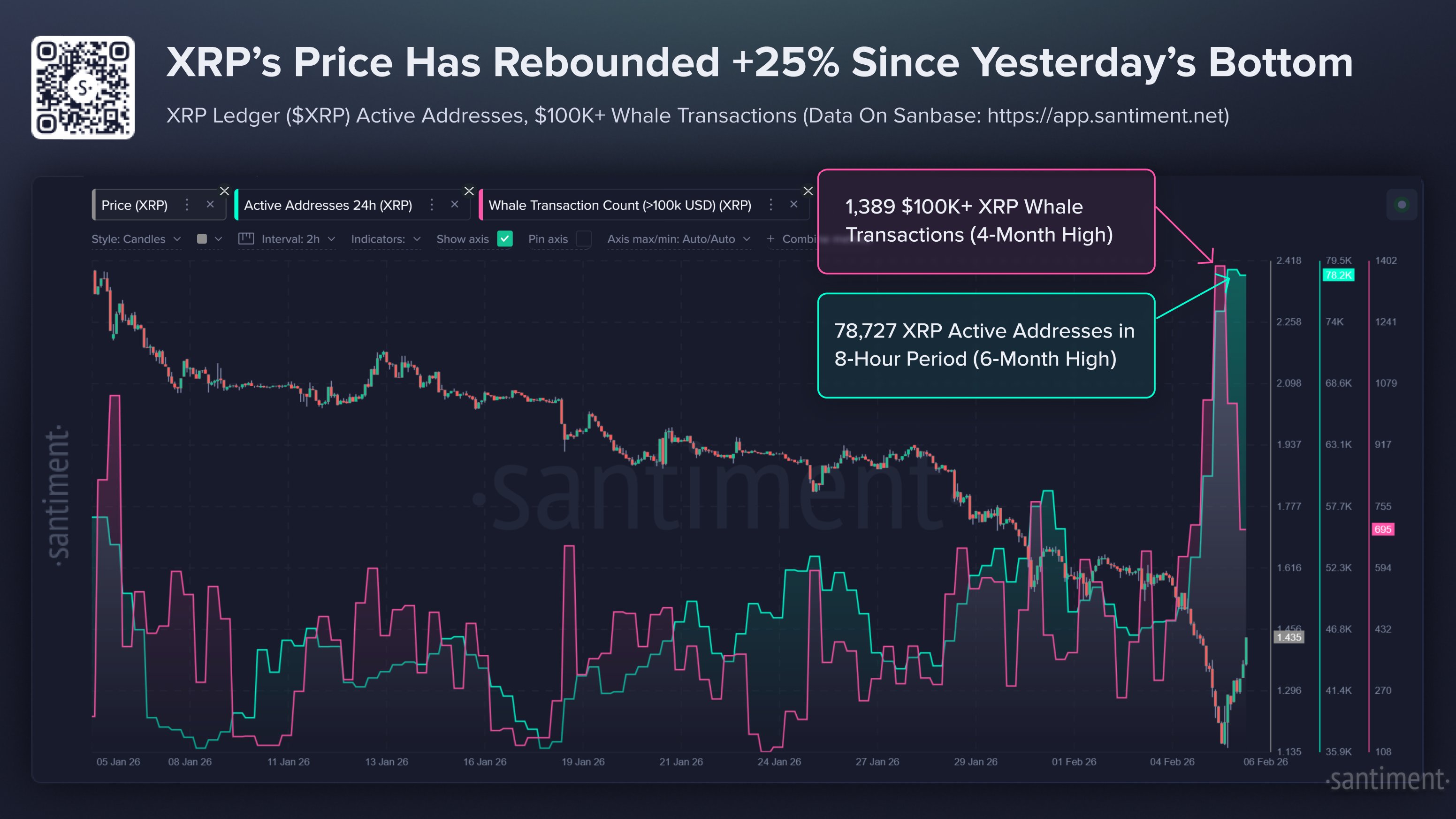 XRP Price Returns Above $1.5 — On-Chain Data Says Whales Are Behind It