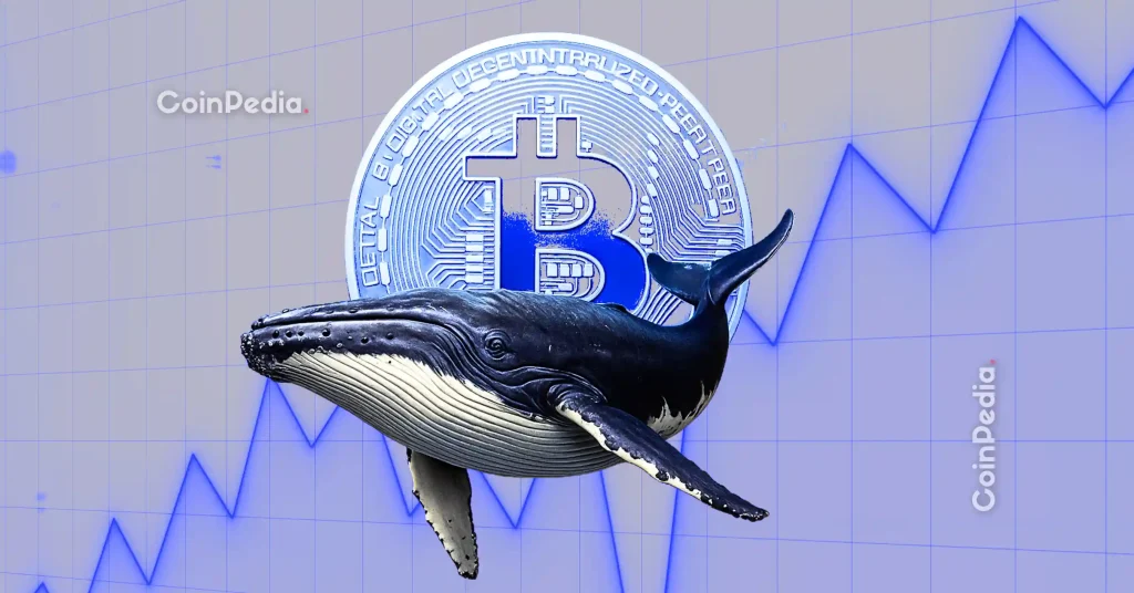 Bitcoin Price Crash Ahead? Satoshi-Era Whale Dumps 12,000 BTC