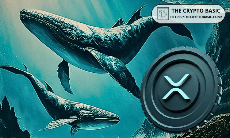 Over 48B XRP Held by 100M+ Whale Wallets, Highest Since 2018: Details