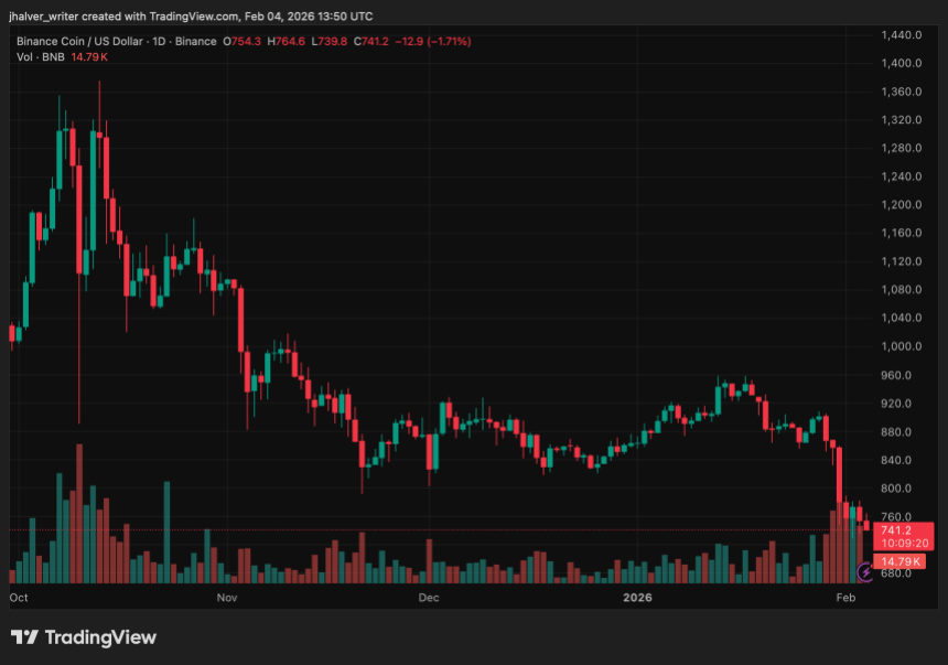 Market Analysts See $730 as BNB’s Last Line Of Defense Amid Mounting Sell Pressure