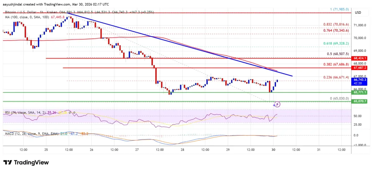 Bitcoin Hits Resistance Despite Gaining Amidst Gloom