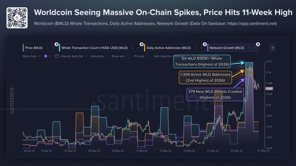 Worldcoin’s FOMO Rally Cracks After On-Chain Activity Explodes