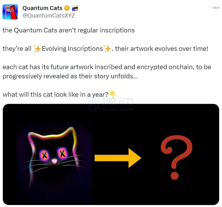 比特币NFT的时代变了？「量子猫」Quantum Cats为何备受瞩目？