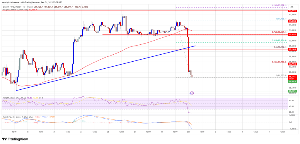 Bitcoin Collapse Accelerates as Gains Vanish and Sellers Take Full Control