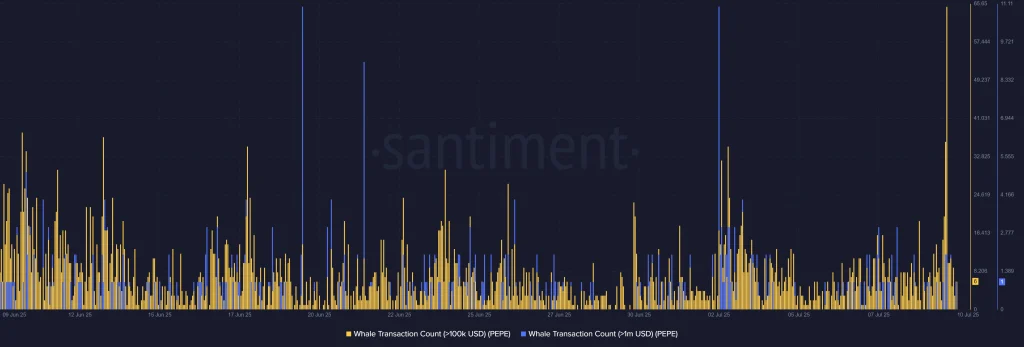 Pepe Whale Transactions Onchain