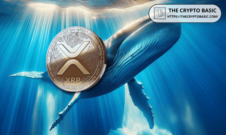 XRP Holders With 1M+ Tokens Add 32 Wallets as Market Cap Falls 29%