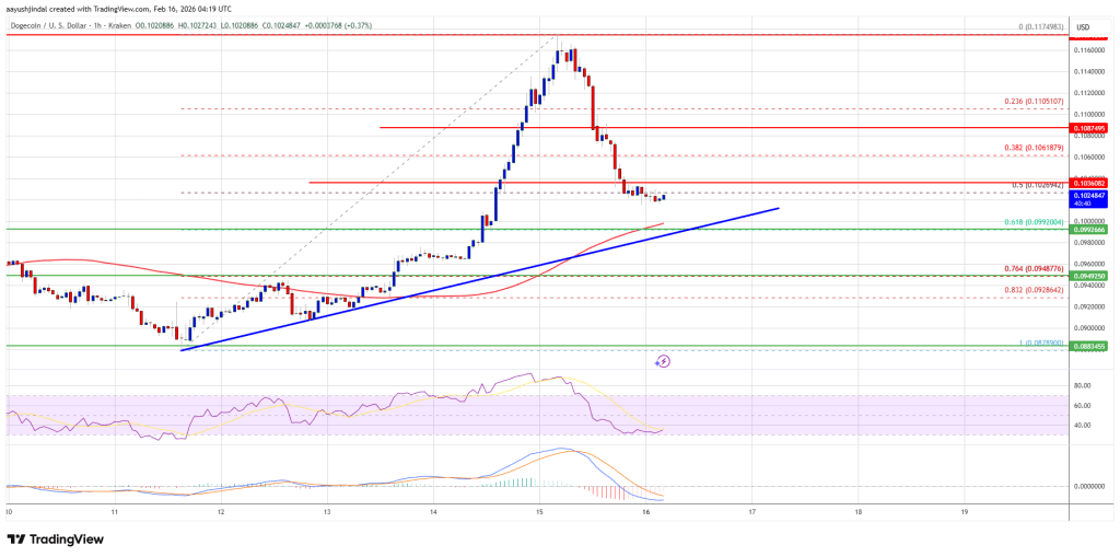 Dogecoin (DOGE) Gives Back Gains, Support Level Under Spotlight