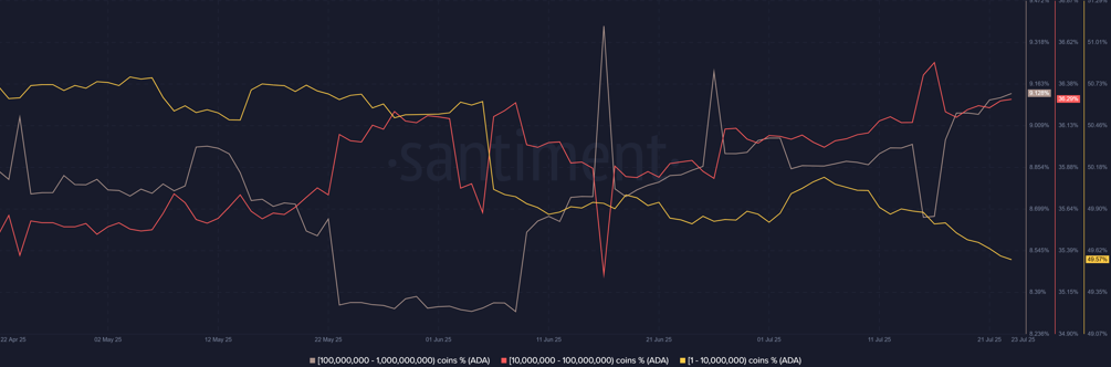 Analysts Eye $2 for ADA Price as Whales Accumulate  

