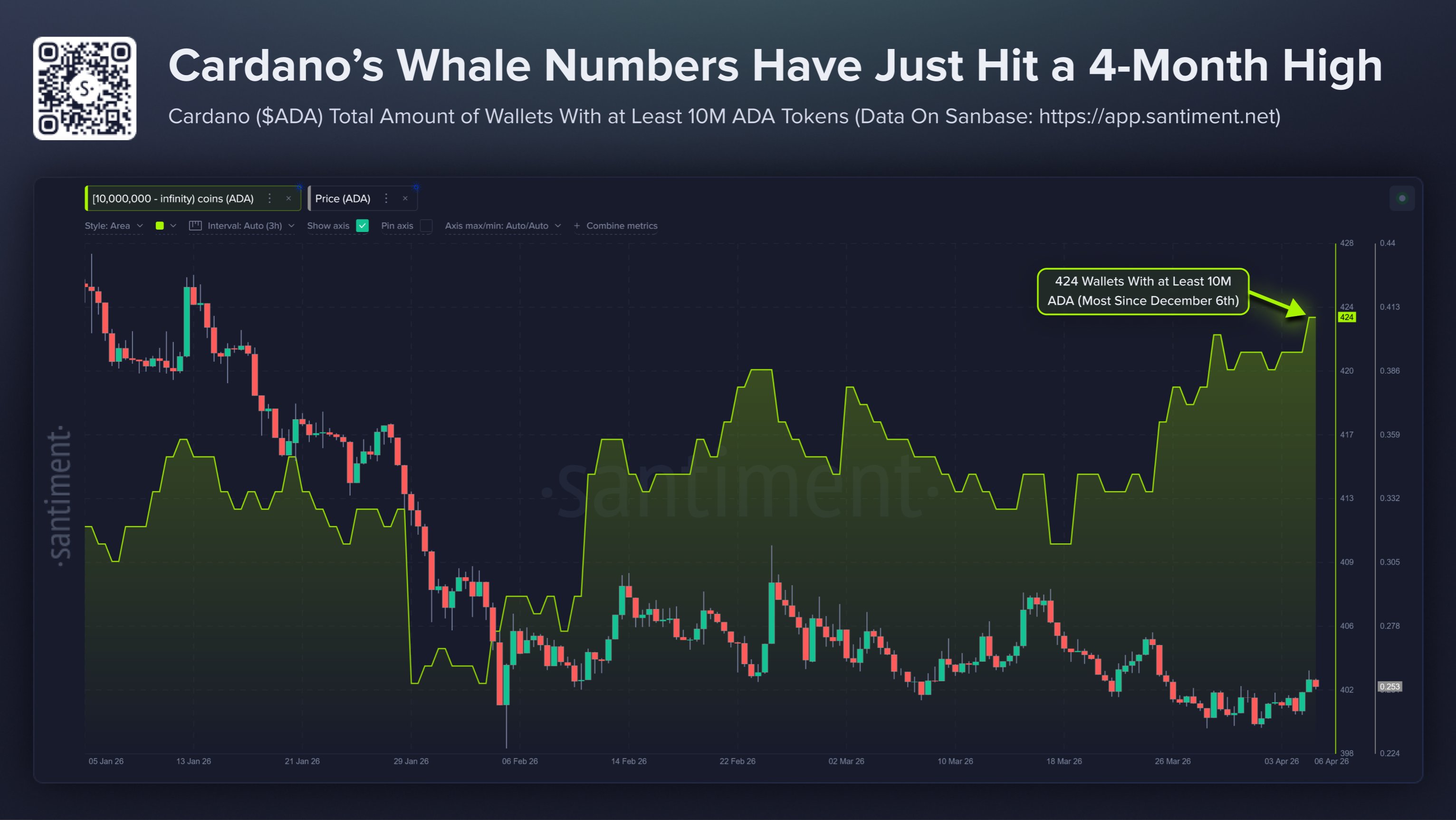 Cardano Whale Count Climbs To 4-Month High Amid Steady Accumulation