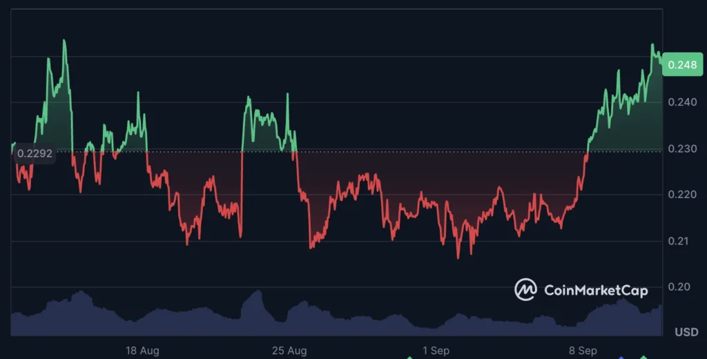 MAGACOIN 5353735 3