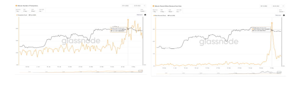 Glassnode： 数据回顾比特币铭文爆发的「疯狂一周」