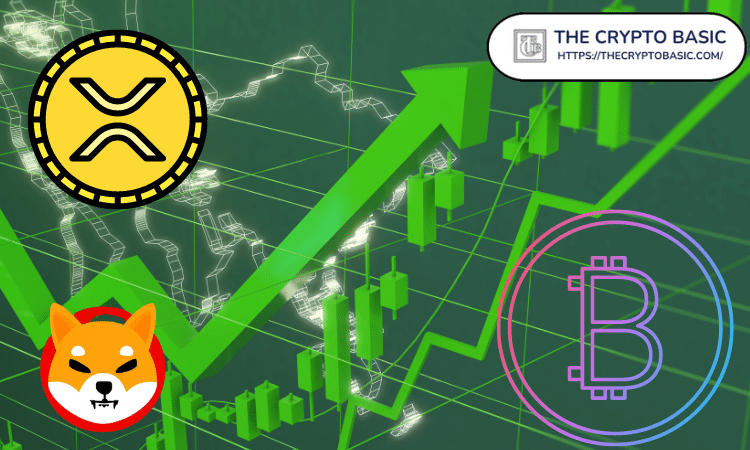 Shiba Inu Outperforms Bitcoin and XRP in This Key Metric